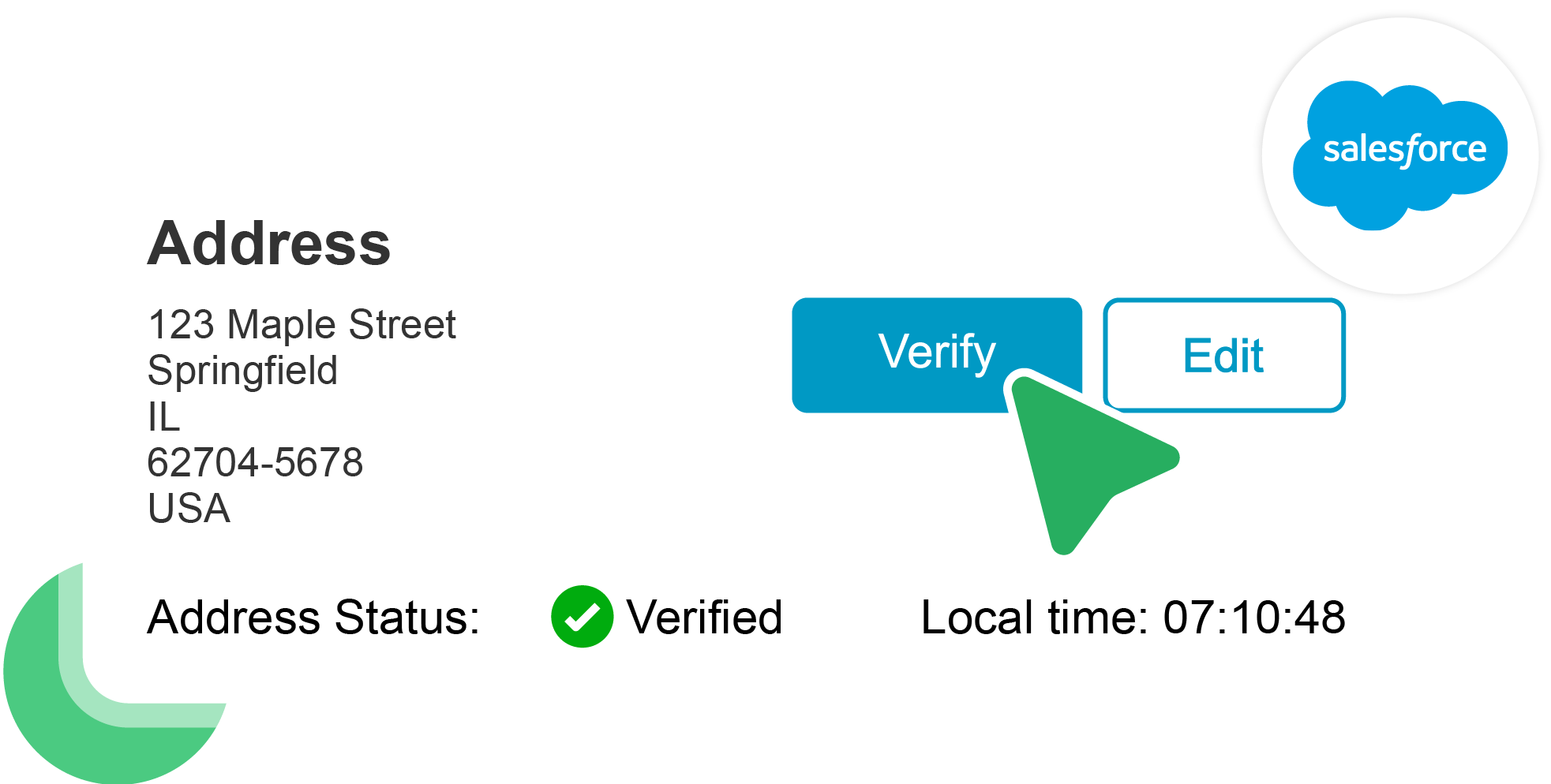 AddressTools Salesforce ZIP+4 plugin in action